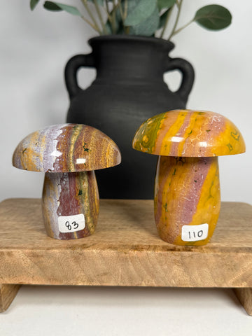 Kabamby Ocean Jasper Mushroom - you pick