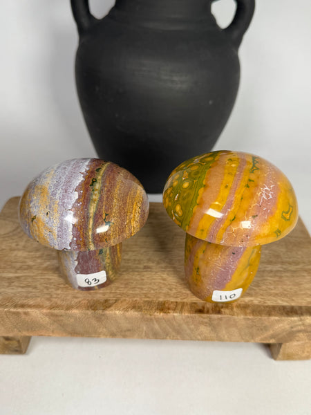 Kabamby Ocean Jasper Mushroom - you pick