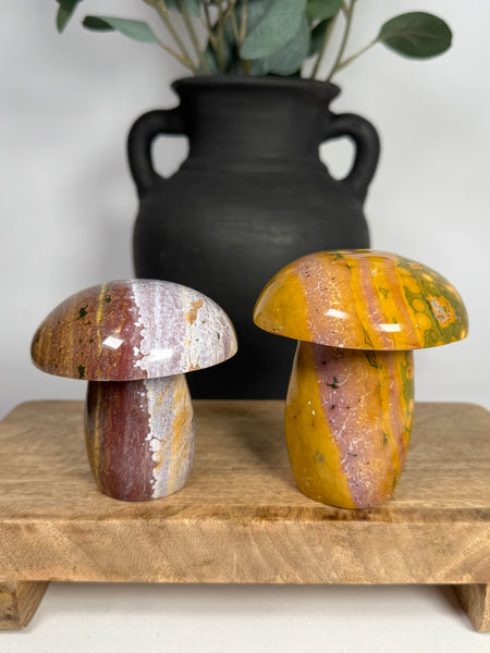 Kabamby Ocean Jasper Mushroom - you pick