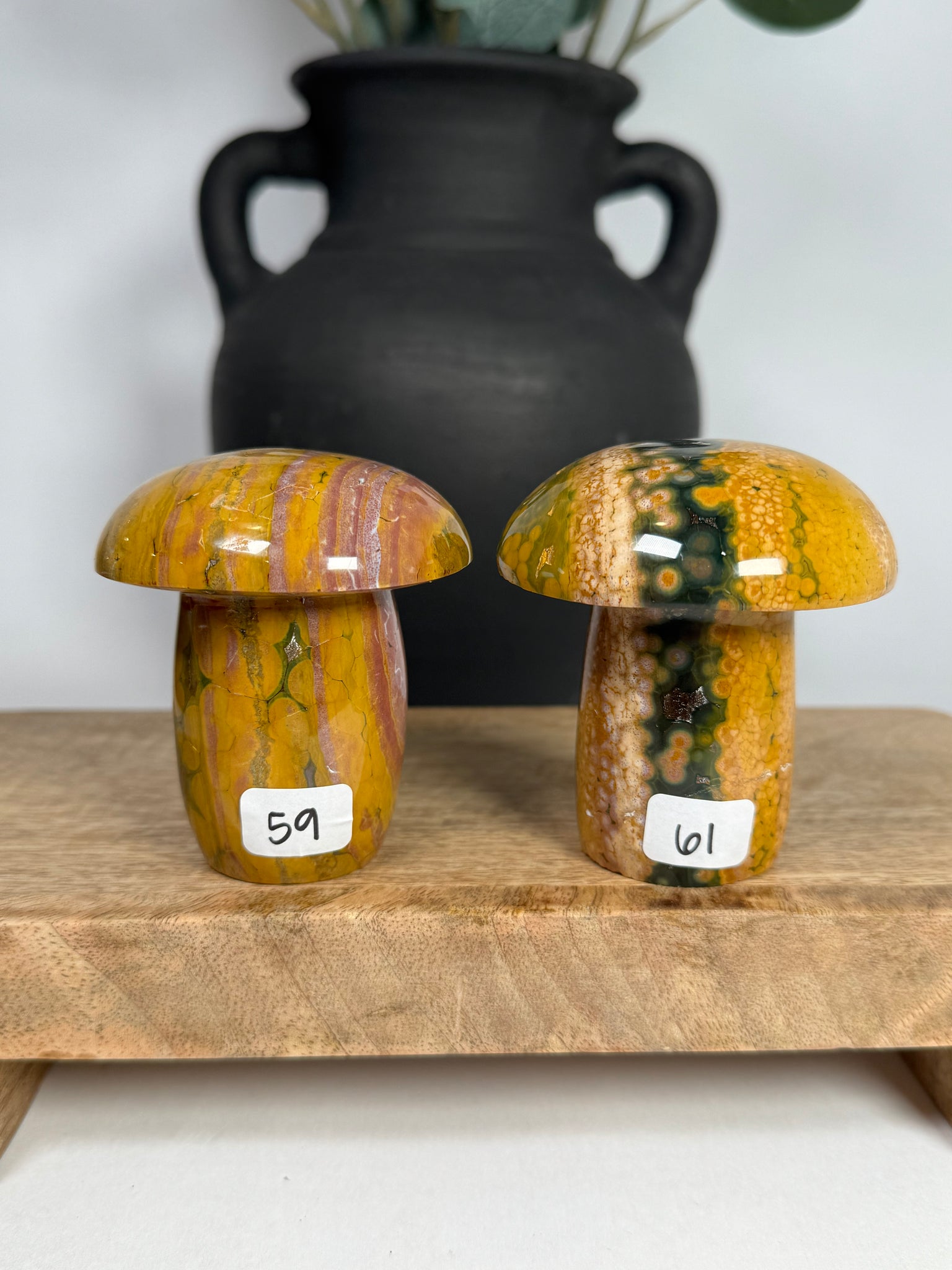 Kabamby Ocean Jasper Mushroom - you pick