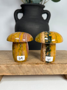 Kabamby Ocean Jasper Mushroom - you pick