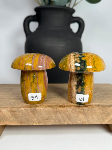 Kabamby Ocean Jasper Mushroom - you pick