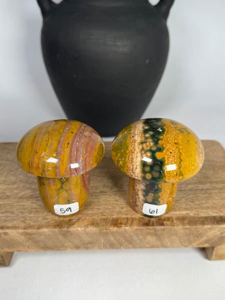 Kabamby Ocean Jasper Mushroom - you pick