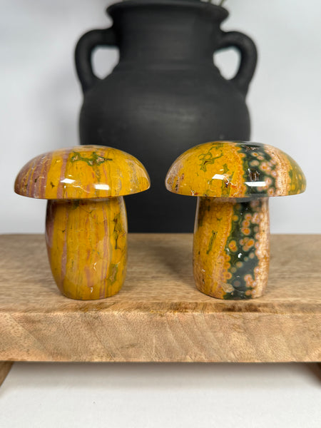Kabamby Ocean Jasper Mushroom - you pick