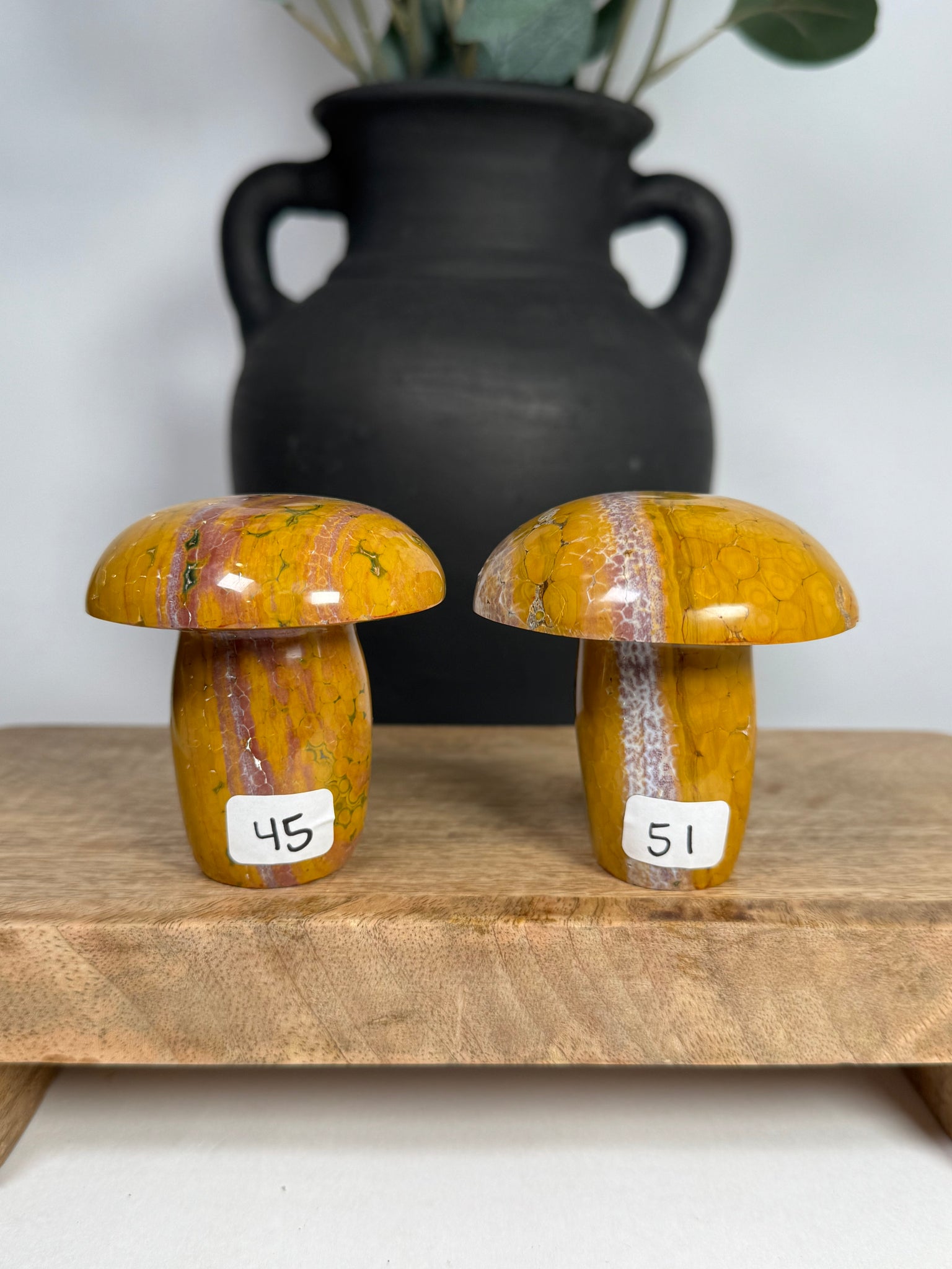 Kabamby Ocean Jasper Mushroom - you pick
