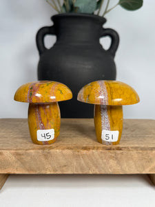 Kabamby Ocean Jasper Mushroom - you pick