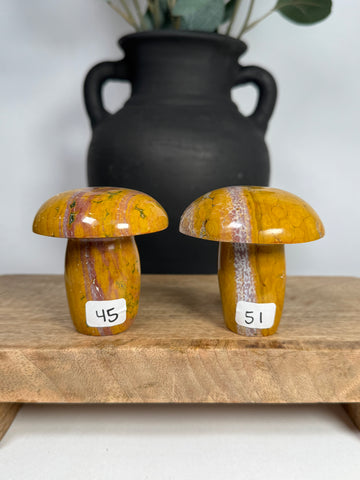 Kabamby Ocean Jasper Mushroom - you pick