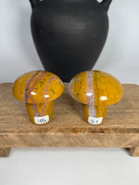 Kabamby Ocean Jasper Mushroom - you pick