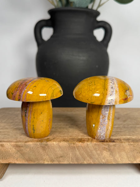 Kabamby Ocean Jasper Mushroom - you pick