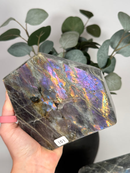 Labradorite Freeforms - you pick
