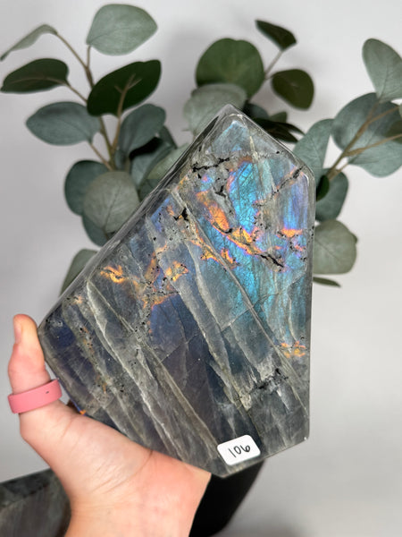 Labradorite Freeforms - you pick