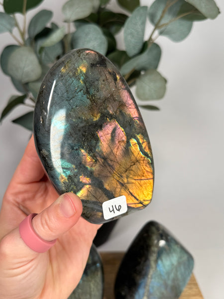 Labradorite Freeforms - you pick