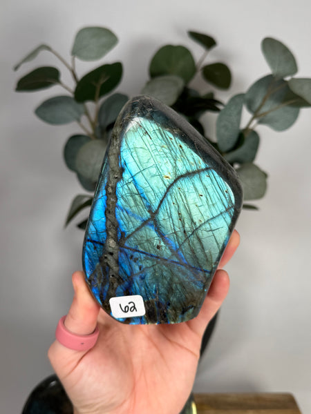 Labradorite Freeforms - you pick