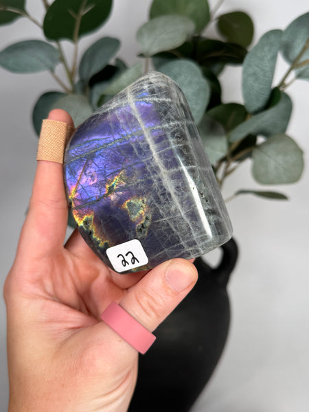 Labradorite Freeforms - you pick