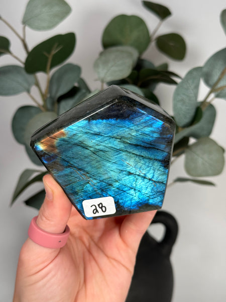 Labradorite Freeforms - you pick