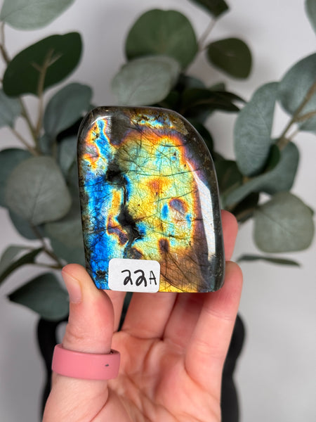 Labradorite Freeforms - you pick