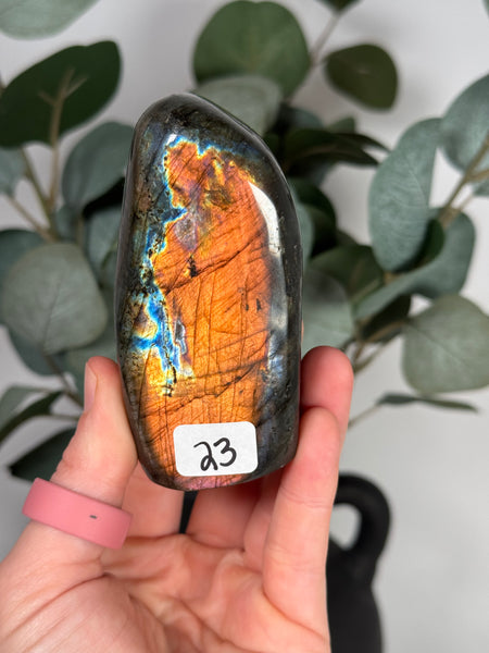 Labradorite Freeforms - you pick