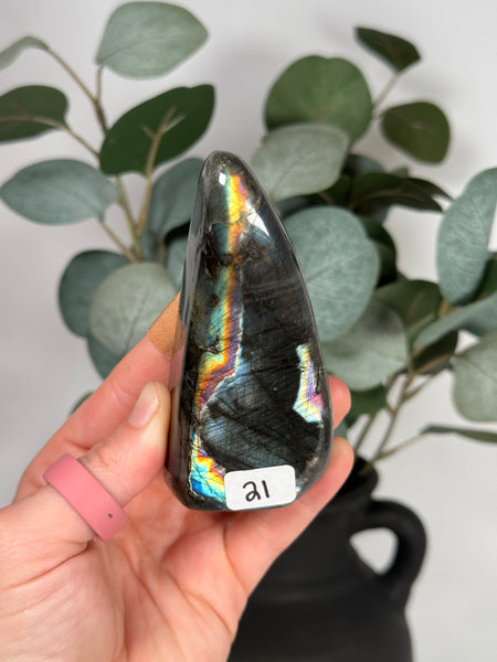 Labradorite Freeforms - you pick