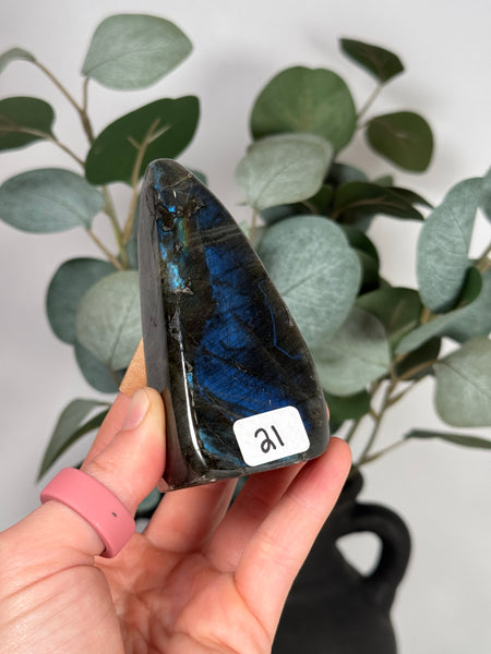 Labradorite Freeforms - you pick