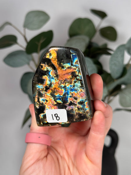 Labradorite Freeforms - you pick