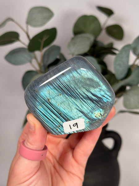 Labradorite Freeforms - you pick