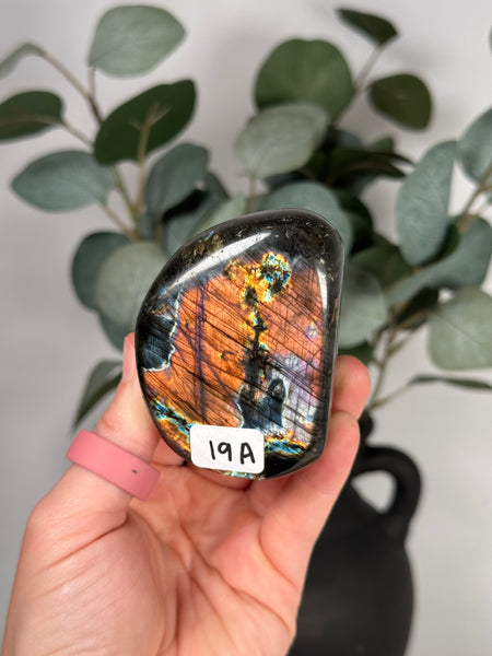 Labradorite Freeforms - you pick