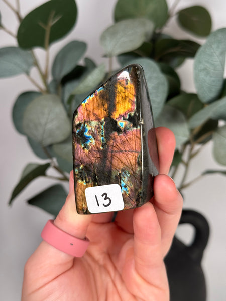Labradorite Freeforms - you pick