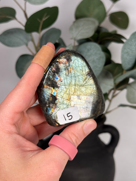 Labradorite Freeforms - you pick