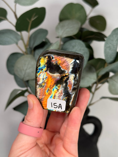 Labradorite Freeforms - you pick