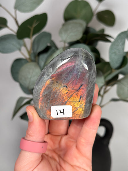 Labradorite Freeforms - you pick