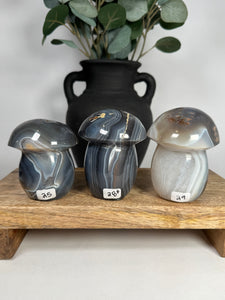 Agate Mushrooms - you pick