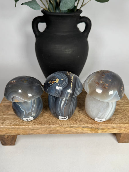 Agate Mushrooms - you pick