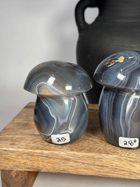Agate Mushrooms - you pick
