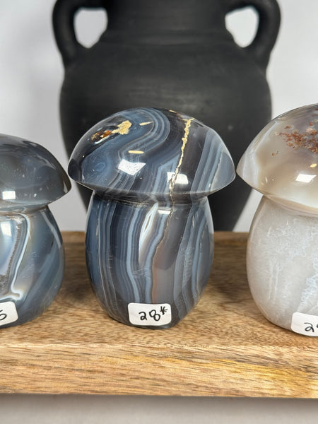Agate Mushrooms - you pick