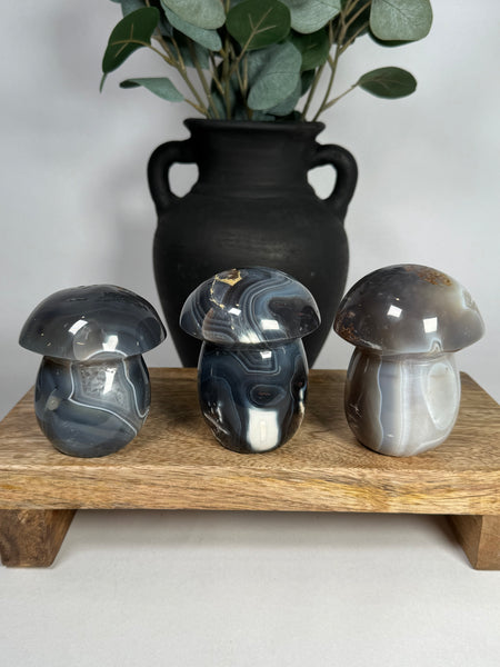 Agate Mushrooms - you pick