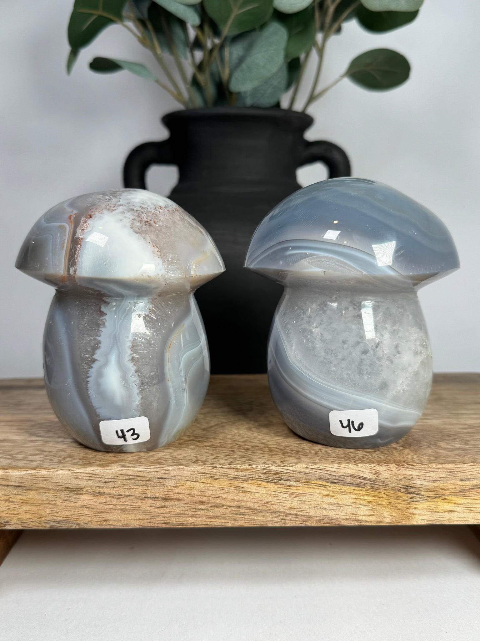 Agate Mushrooms - you pick
