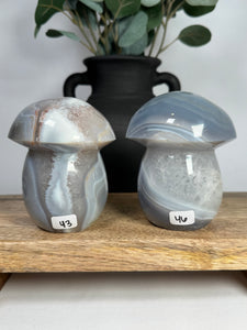 Agate Mushrooms - you pick