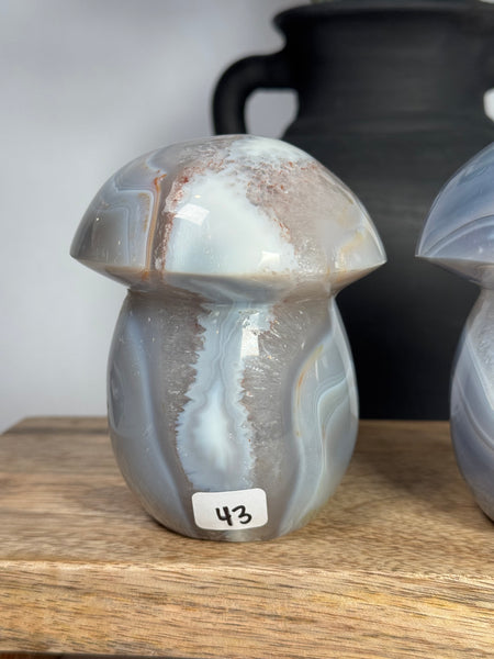 Agate Mushrooms - you pick