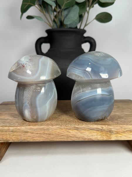 Agate Mushrooms - you pick