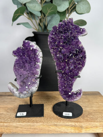 Amethyst Seahorse w/ Stand - you pick