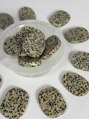Dalmatian Jasper Flat Stone - mystery