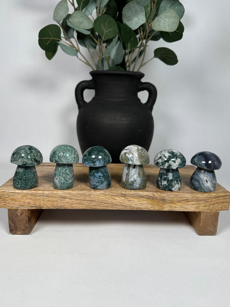 Moss Agate Mushrooms - mystery