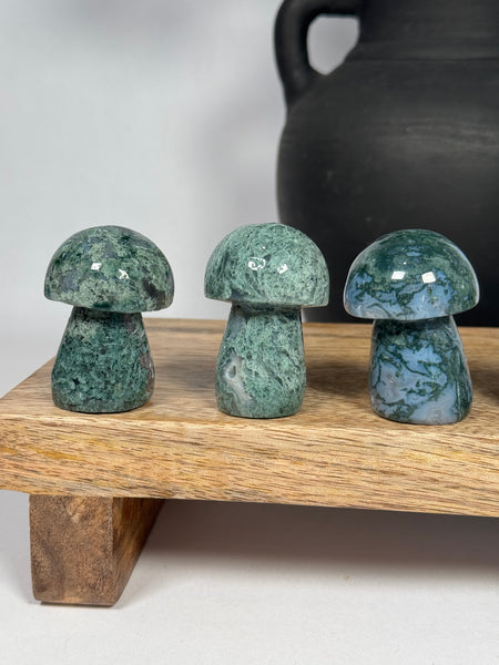 Moss Agate Mushrooms - mystery