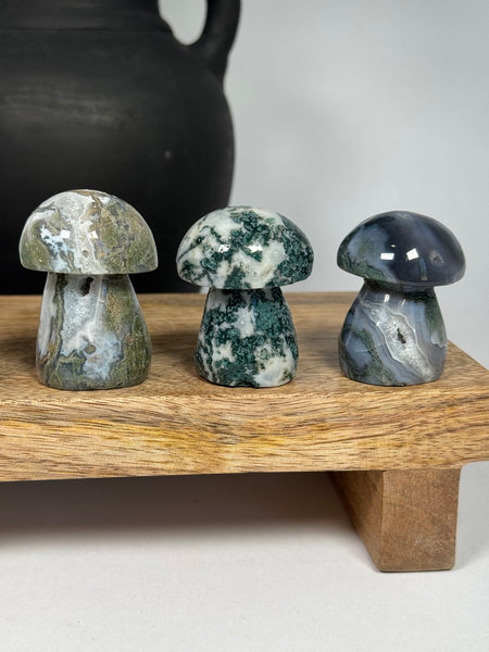 Moss Agate Mushrooms - mystery