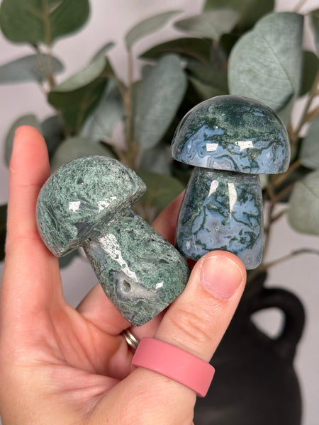 Moss Agate Mushrooms - mystery