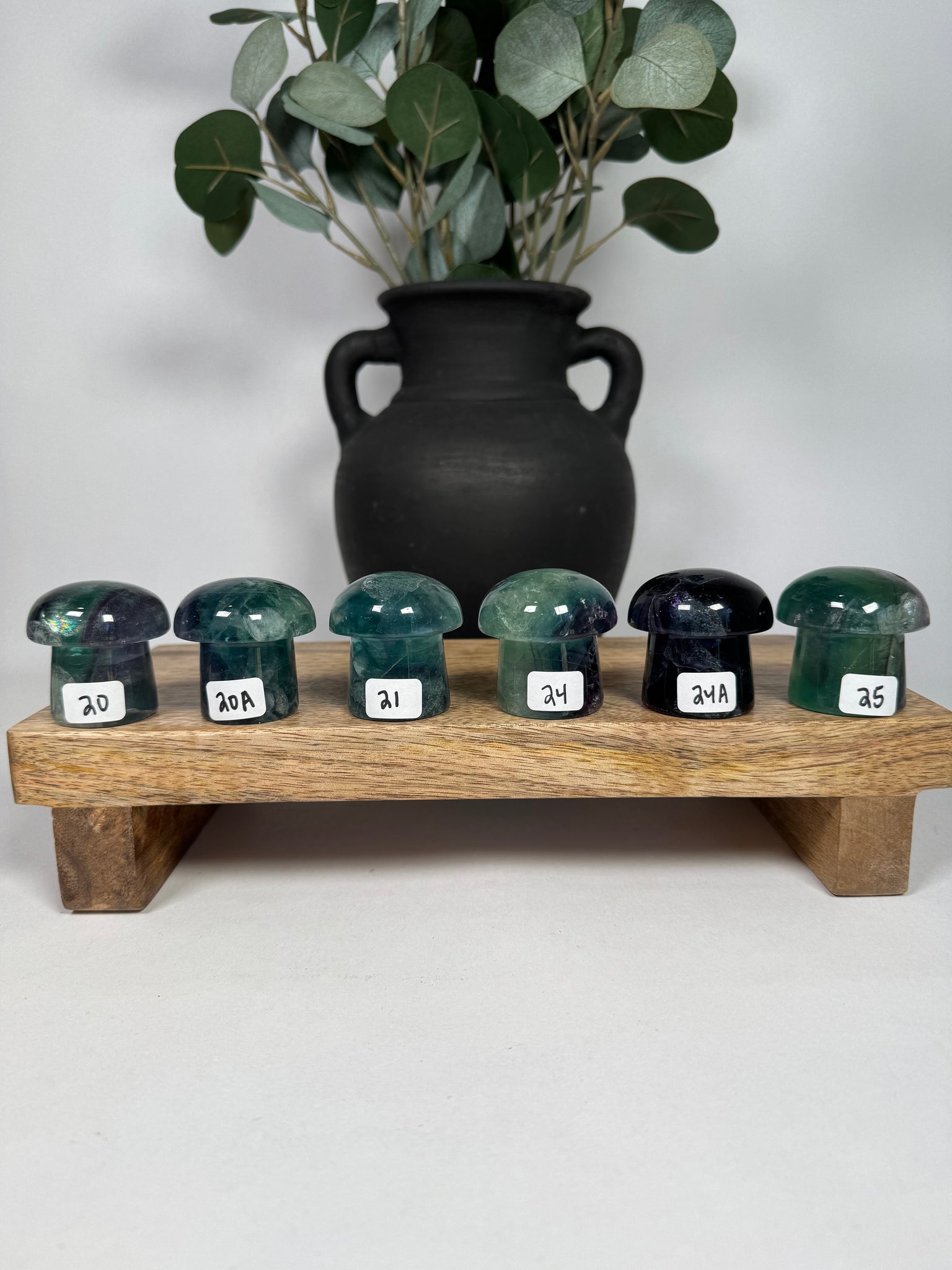 Fluorite Mushrooms - you pick