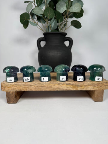 Fluorite Mushrooms - you pick