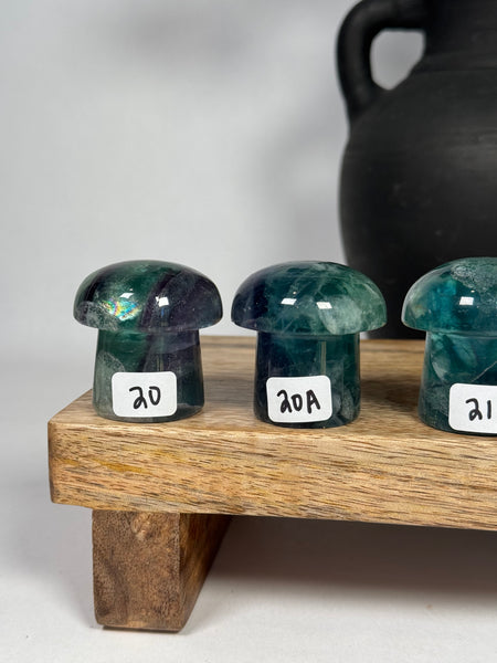 Fluorite Mushrooms - you pick