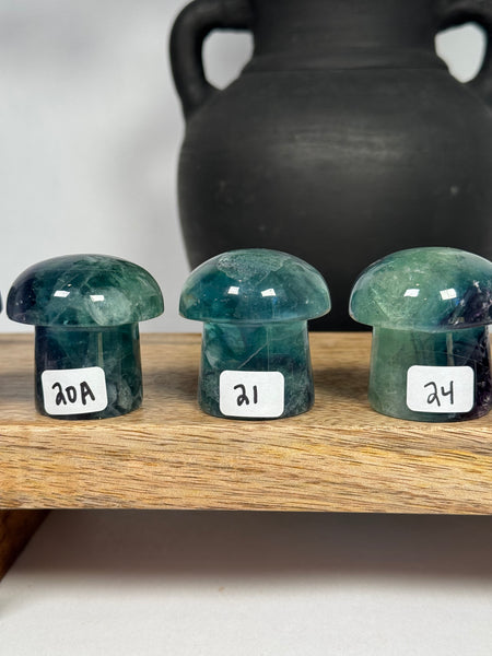 Fluorite Mushrooms - you pick