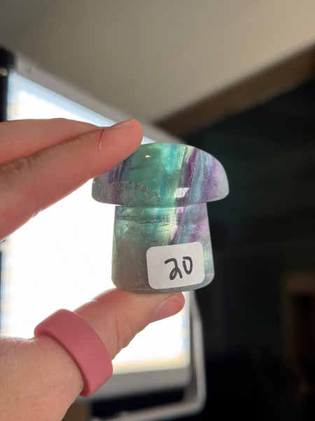 Fluorite Mushrooms - you pick